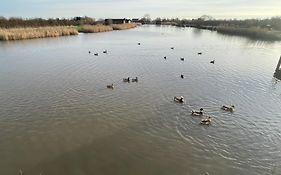 Lakeside Fishing Pods